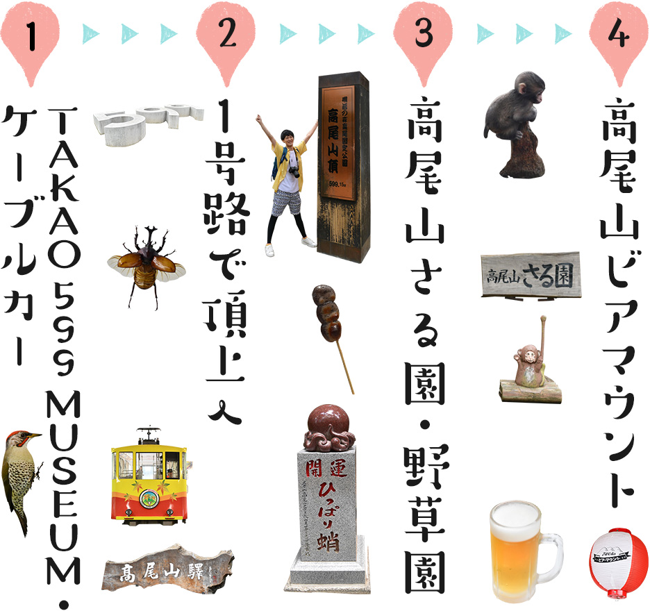 1、TAKAO 599 MUSEUM・ケーブルカー　→　2、1号路で頂上へ　→　3、高尾山さる園・野草園　→　4、高尾山ビアマウント