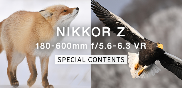 NIKKOR Z 180-600mm f/5.6-6.3 VR スペシャルコンテンツ