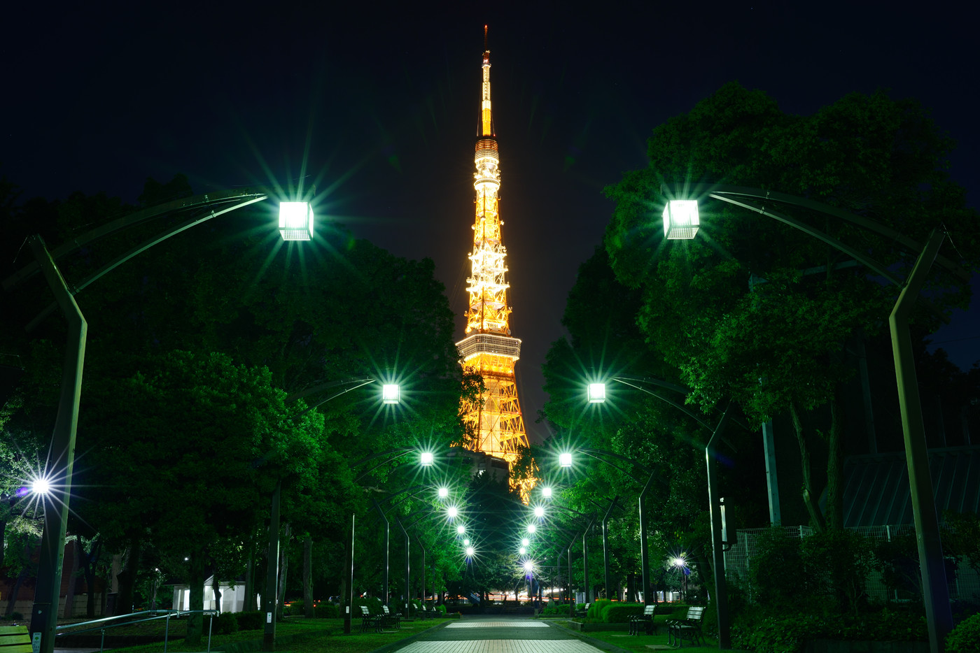 54階の高層ビルの屋上から見えるさまざまな光を意識しつつ、東京タワーの形が最も良く見えるアングルをさらに探る。