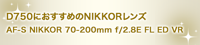 D750におすすめのNIKKORレンズ AF-S NIKKOR 70-200mm f/2.8E FL ED VR