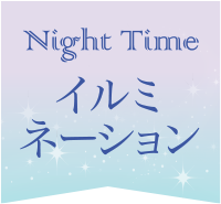 Night Time イルミネーション