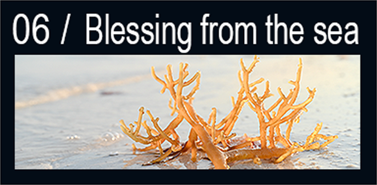 Blessing from the sea