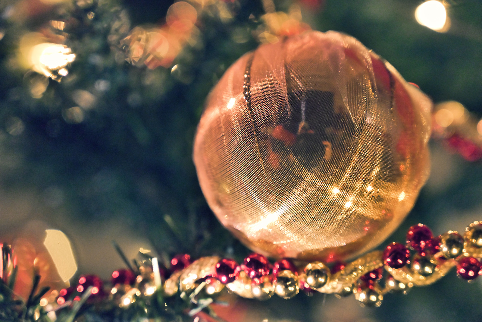 カメラレッスン Lesson7 室内のクリスマス飾りを雰囲気よく撮る Enjoyニコン ニコンイメージング