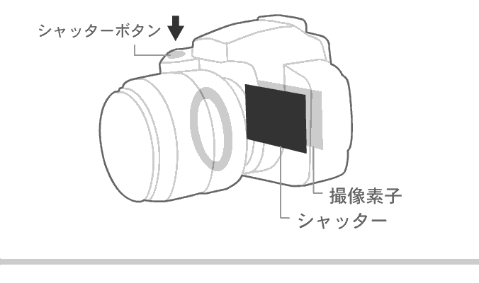デジタル一眼レフカメラの基礎知識 デジタル一眼レフカメラの構造 Enjoyニコン ニコンイメージング