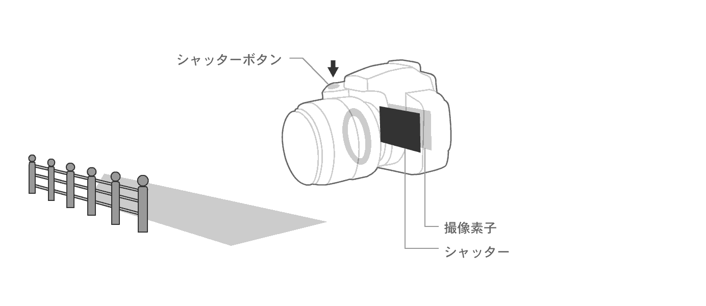 デジタル一眼レフカメラの基礎知識 露出 Enjoyニコン ニコンイメージング