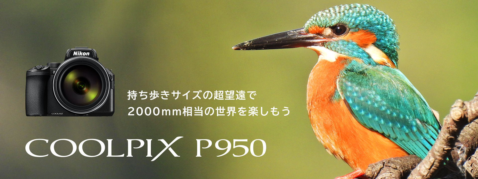 COOLPIX P950 - 概要 | コンパクトデジタルカメラ | ニコンイメージング