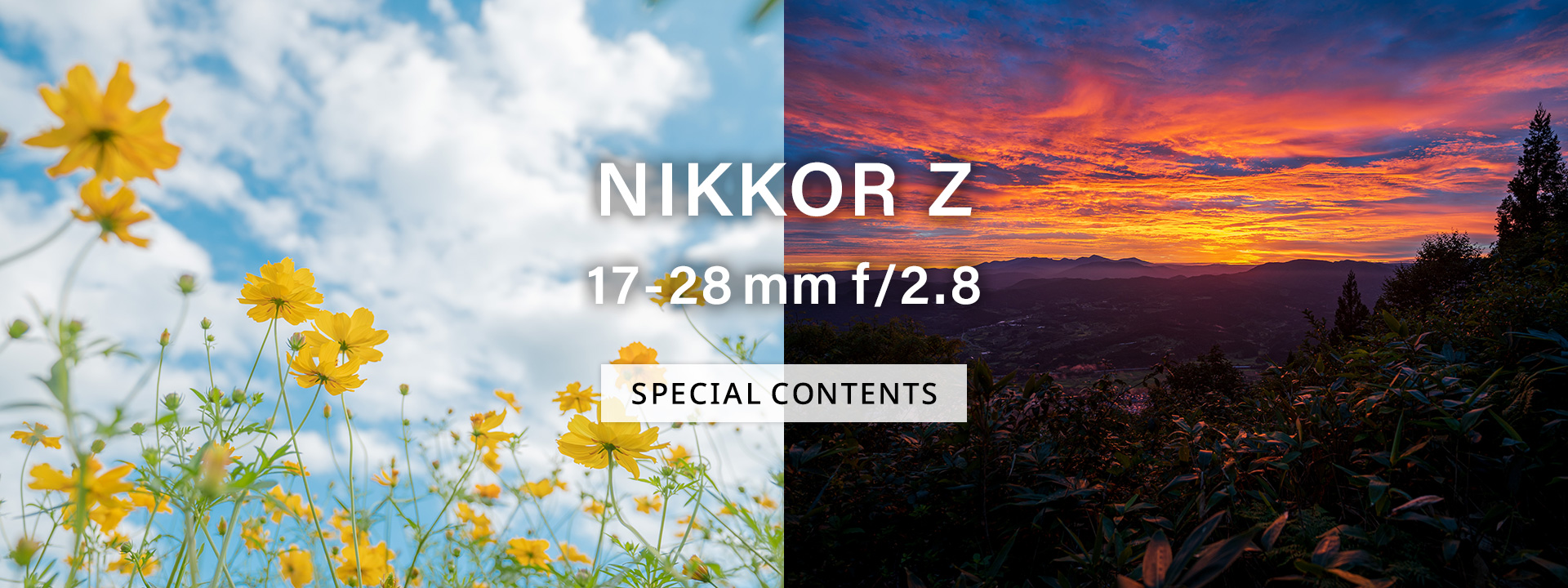 NIKKOR Z 17-28mm f/2.8 スペシャルコンテンツ
