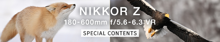 NIKKOR Z 180-600mm f/5.6-6.3 VR スペシャルコンテンツ