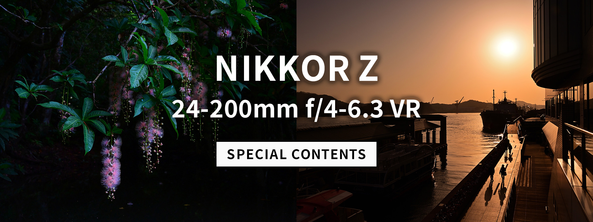 NIKKOR Z 24-200mm f/4-6.3 VR スペシャルコンテンツ