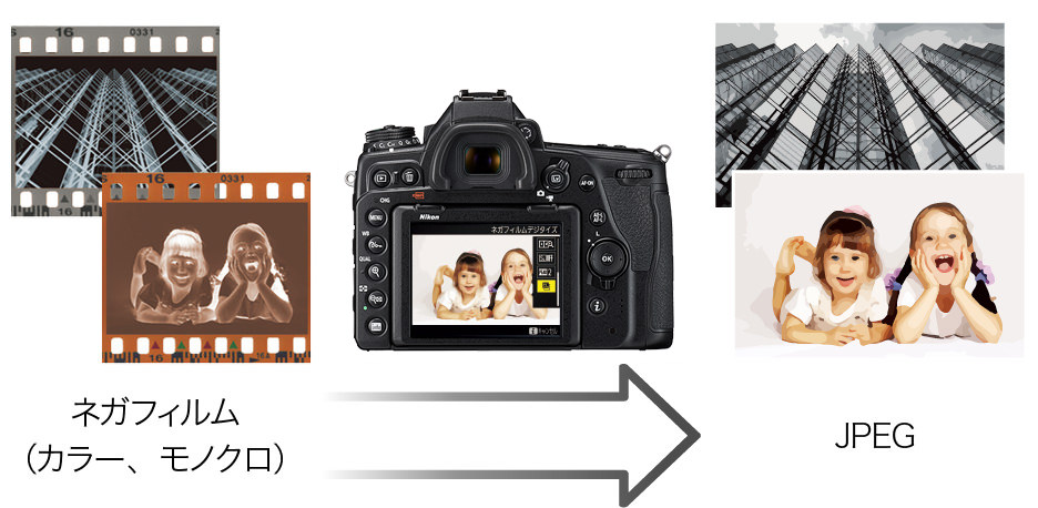 D780 - 製品特長 | 一眼レフカメラ | ニコンイメージング
