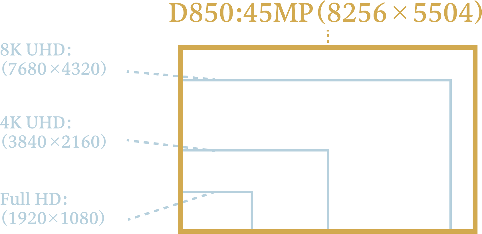 8Kタイムラプスムービー D850:45MP(8256×5504)