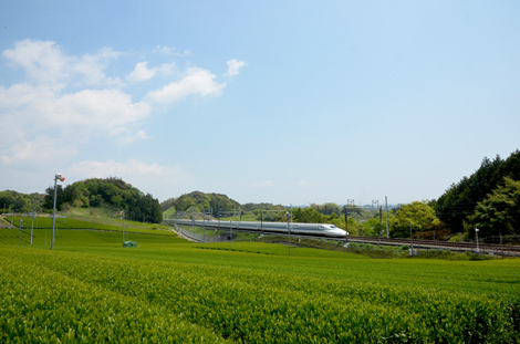 茶畑のすぐそばを走る新幹線