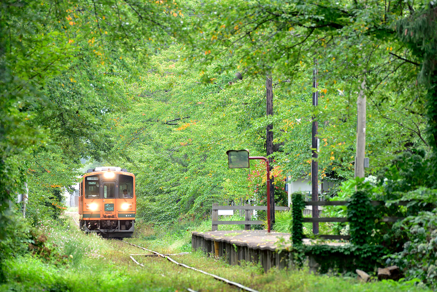 作品2：青森県の津軽鉄道（芦野公園駅）、緑の木々に囲まれた無人駅