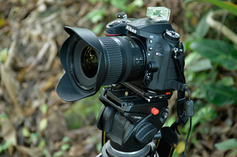 DX 10-24mm f/3.5-4.5。大自然の深奥を撮る。