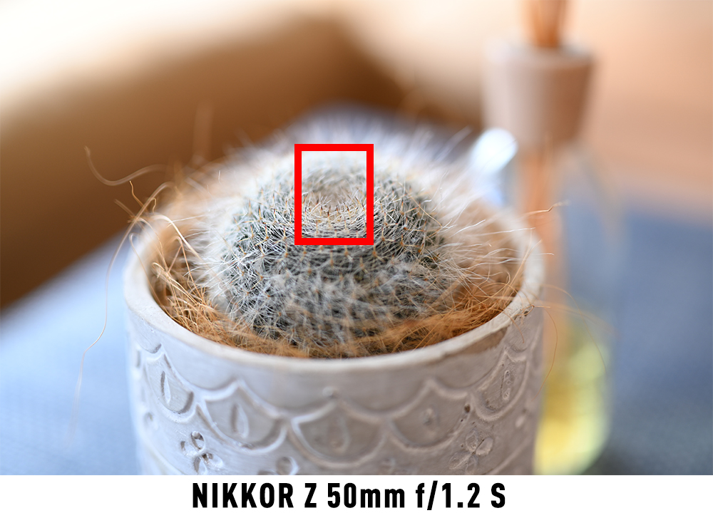ボケ比較写真：NIKKOR Z 50mm f/1.2 S