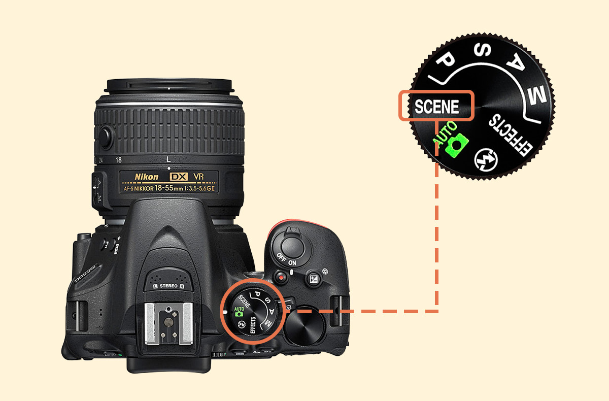 今回使用したカメラ Nikon D5500